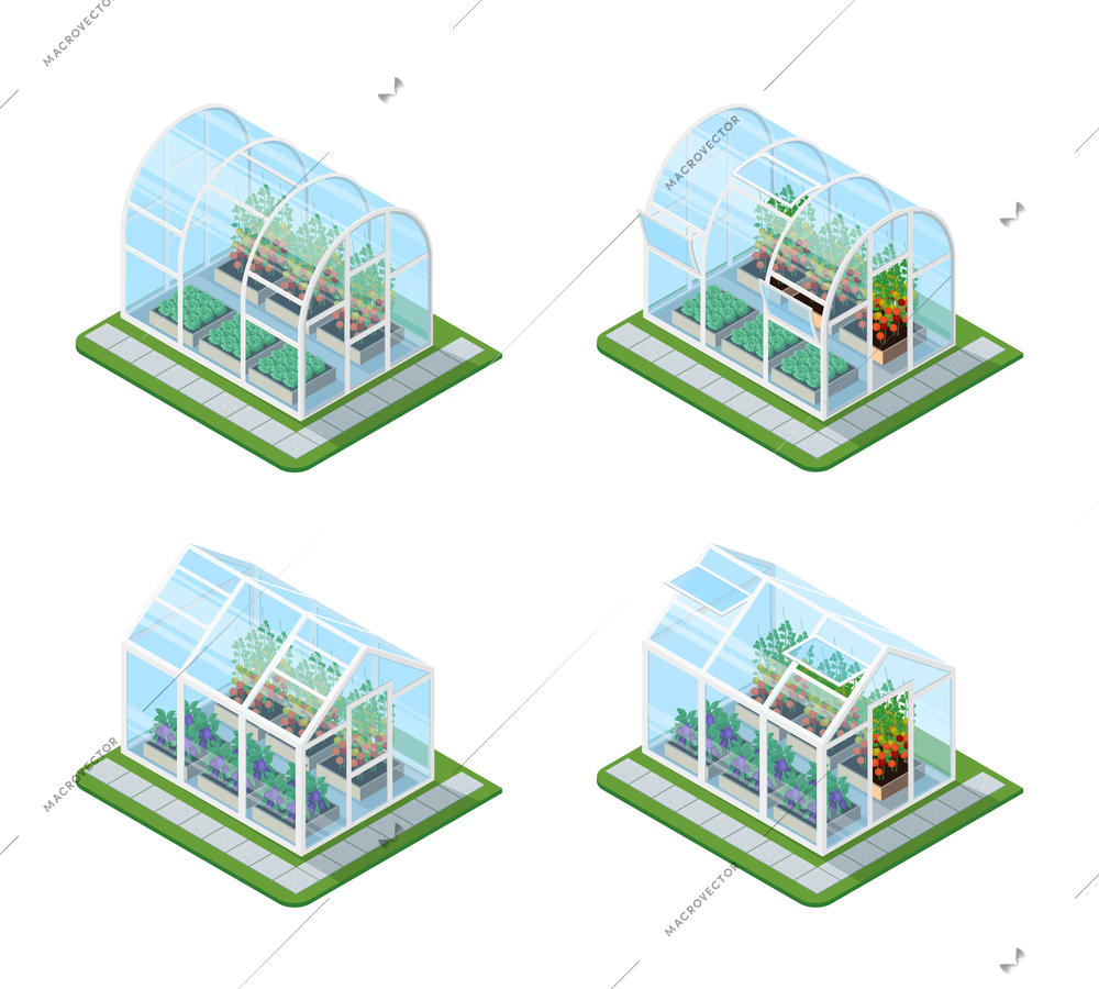 Glass greenhouse isometric set with growing agricultural products and colorful flowers isolated vector illustration