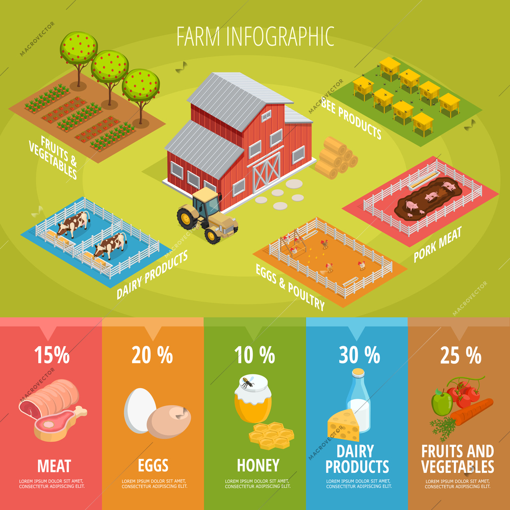 Farm food isometric infographics with house tractor animals vegetables fruits and healthy organic products vector illustration