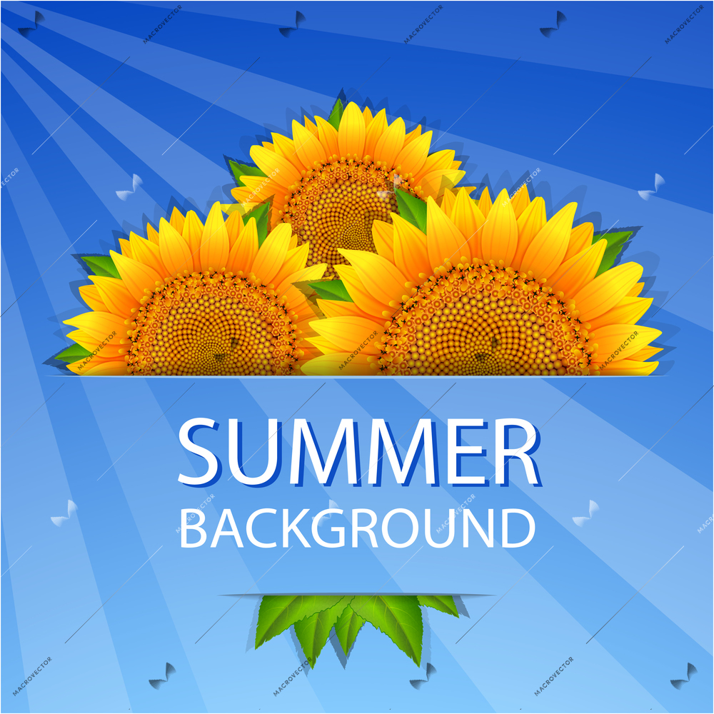 Summer sun sunflowers abstract background vector illustration