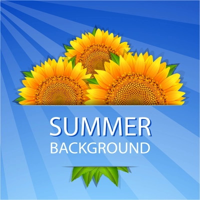 Summer sun sunflowers abstract background vector illustration