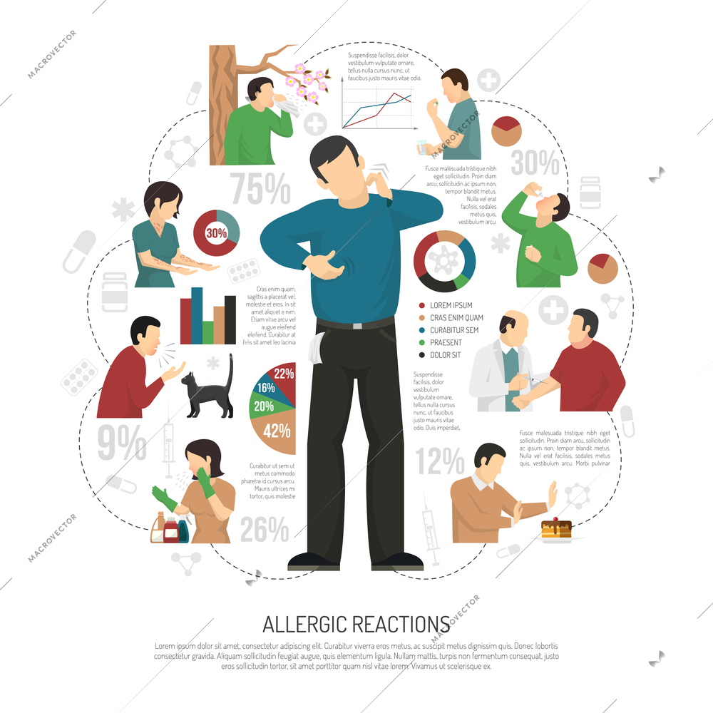 Flat allergy infographic with percent ratio allergy treatment and allergic reactions headline vector illustration