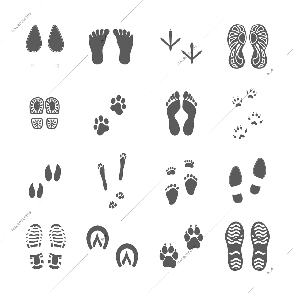 Human footwear and soles imprints birds feet and animal paws black prints collection white background vector illustration