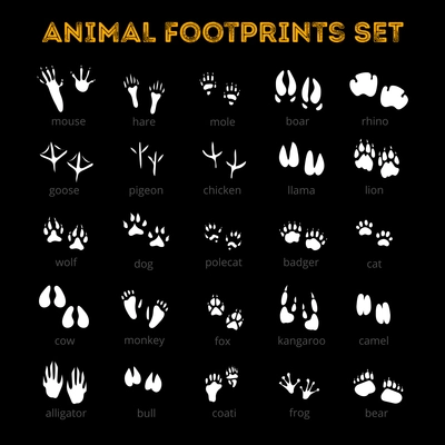 White tracks of different animals pets and birds isolated on black background flat vector illustration