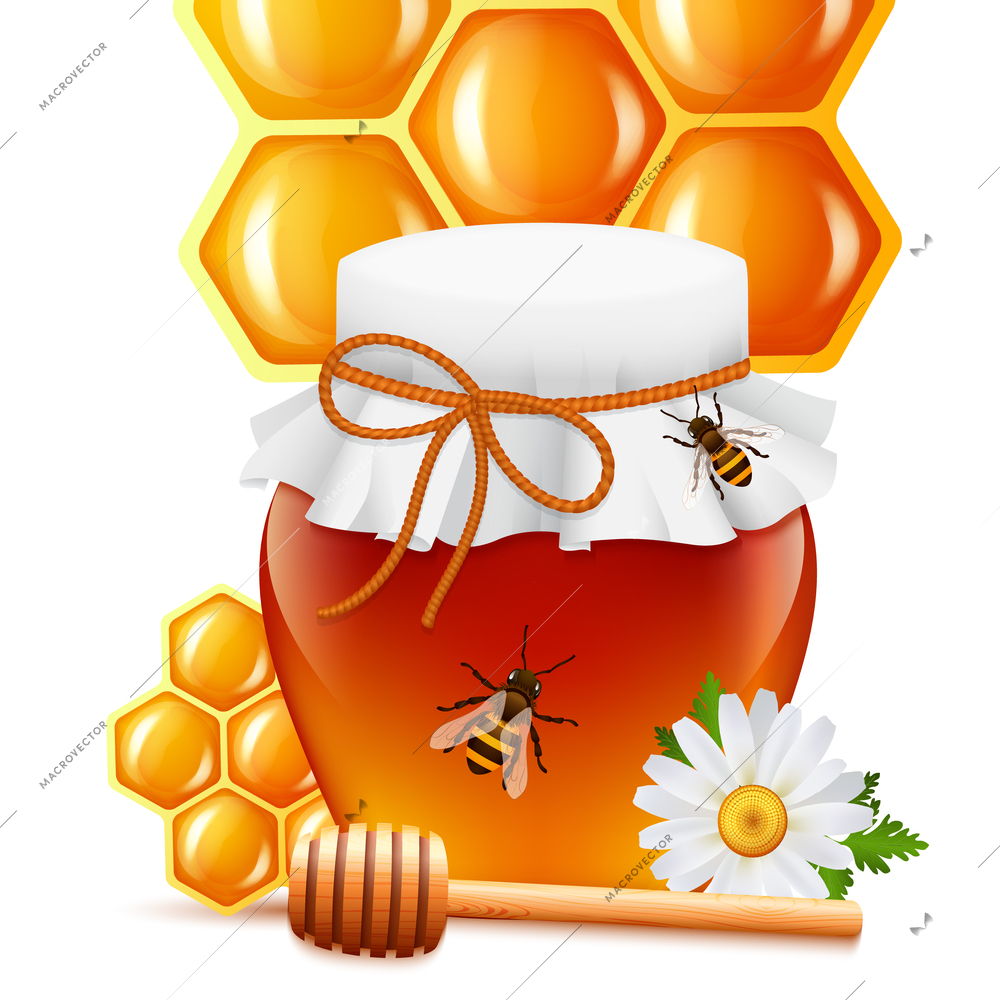 Sweet natural bee honey in glass jar with dipper daisy and honeycomb background print vector illustration