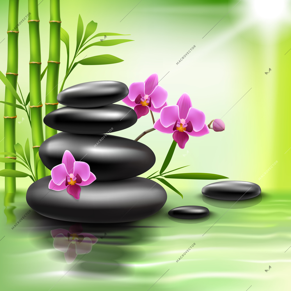 Realistic spa beauty health care background with bamboo stones orchid vector illustration