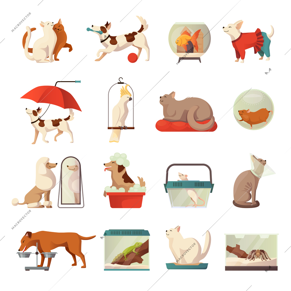 Pet shop icons set with cats and dogs flat isolated vector illustration