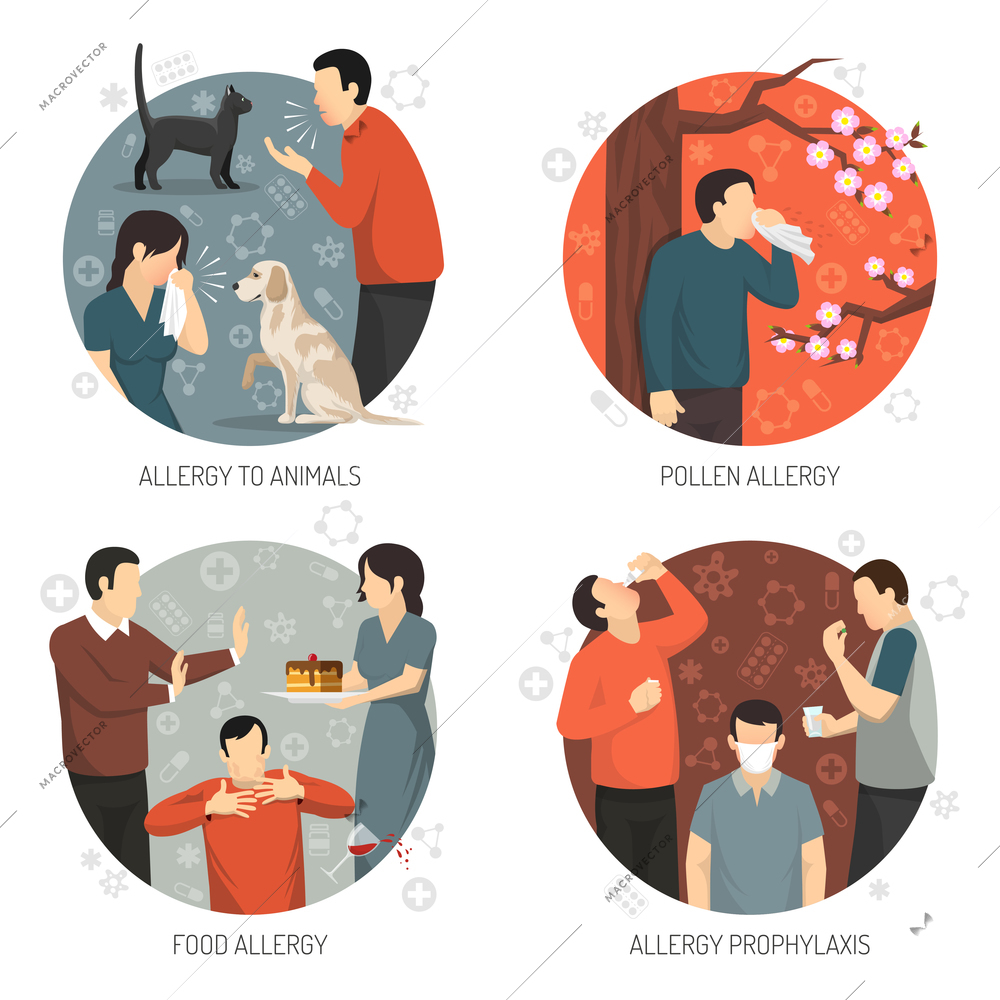 Colored flat and isolated allergic design icon set with allergy to animals pollen and food allergies and prophylaxis descriptions vector illustration