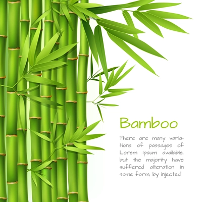 Realistic green bamboo plant grass tree oriental japanese background vector illustration