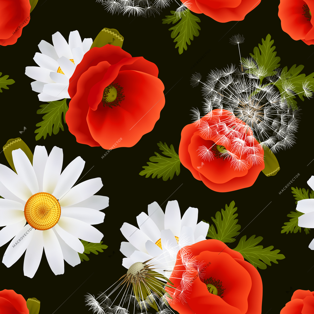 Vibrant floral poppy flowers dandelions and daisies seamless pattern on dark background vector illustration