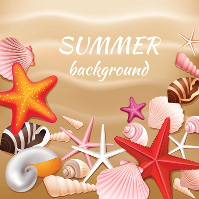 Seashells and stars on the beige sand summer background vector illustration