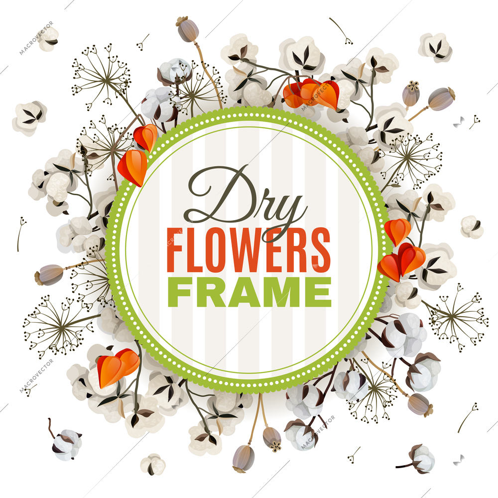 Floristic background with dry flowers frame consisting of cotton  poppy and physalis blossoms flat vector illustration