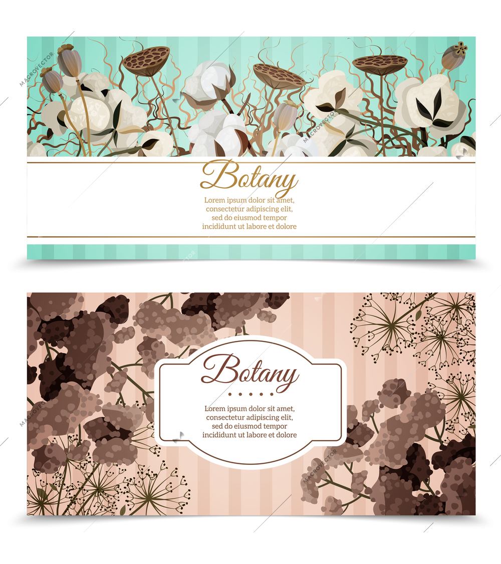 Two horizontal banners with printable cards decorated by cotton blossoms and dry flowers compositions flat vector illustration