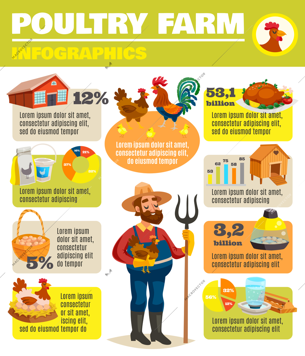 Poultry farm infographics with cartoon style images of farmer chicken and farming unit facilities with text vector illustration