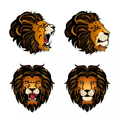 Colored set of four isolated cartoon lion heads in different angles and moods on white background vector illustration