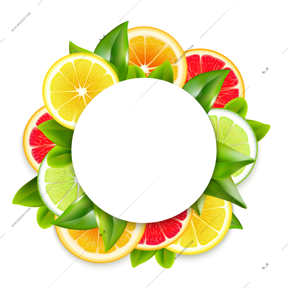 Freshly cut citrus fruits slices and leaves circle ornamental round frame arrangement colorful natural realistic vector illustration