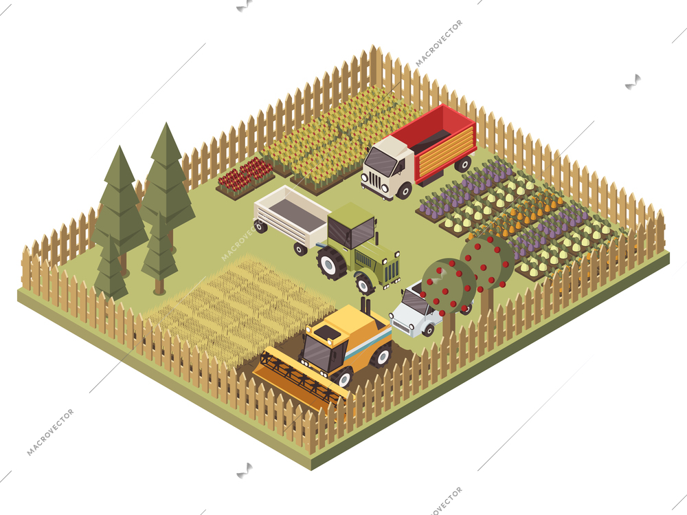 Agricultural vehicles isometric design with harvesting machine truck and tractor farmland and garden beds vector illustration