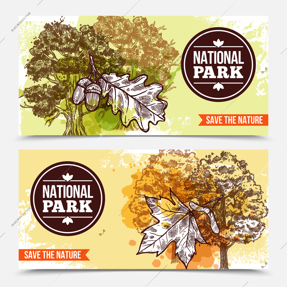 Horizontal national park banners with sketch deciduous trees and leaves isolated on grey background vector illustration
