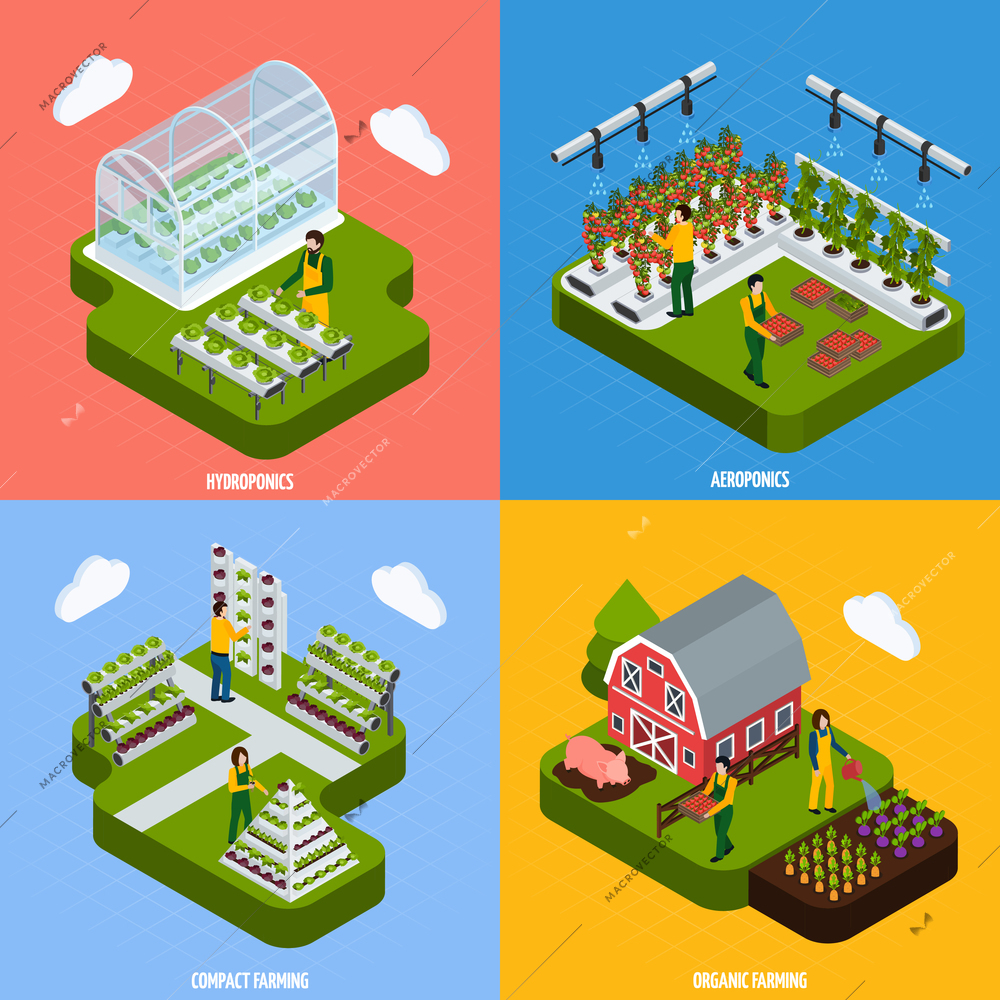 Hydroponics and aeroponics concept isometric icons set with farming symbols isolated vector illustration