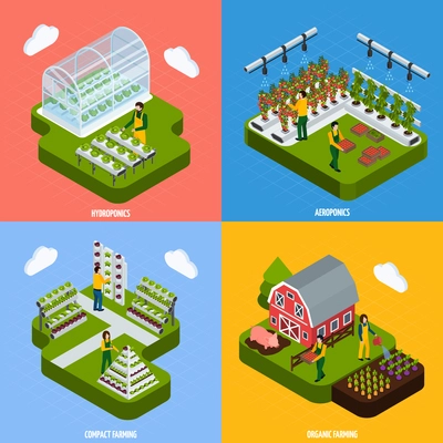 Hydroponics and aeroponics concept isometric icons set with farming symbols isolated vector illustration