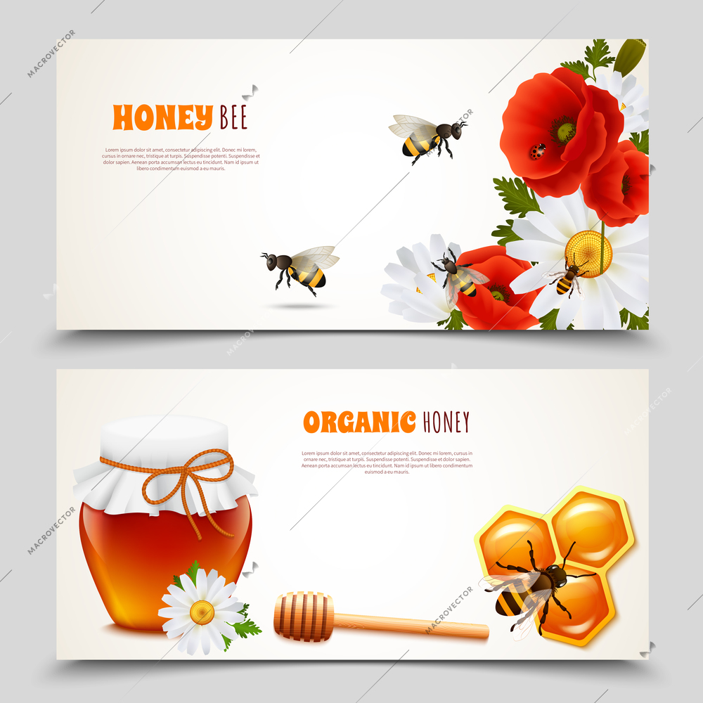 Two horizontal honey banner set with honey bee and organic honey descriptions vector illustration