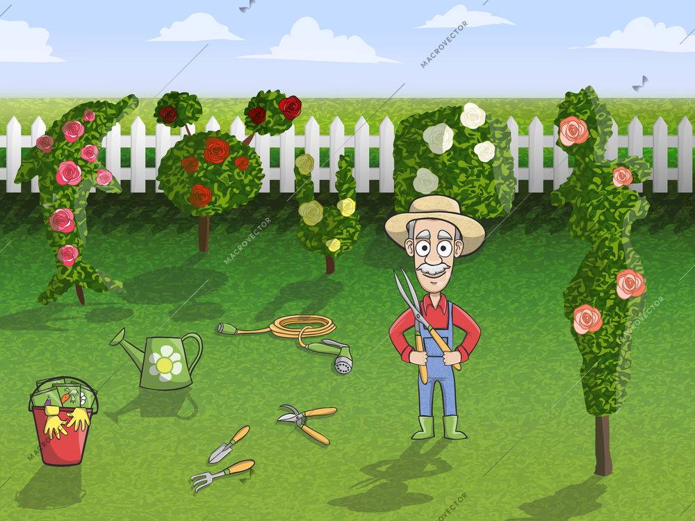 Happy gardener cartoon character in hat with tree pruner working in rose garden concept poster vector illustration