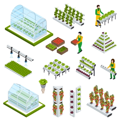 Hydroponics and aeroponics isometric icons set with greenhouse symbols isolated vector illustration