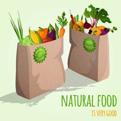 Natural  food is very good organic vegetables in paper bag concept vector illustration