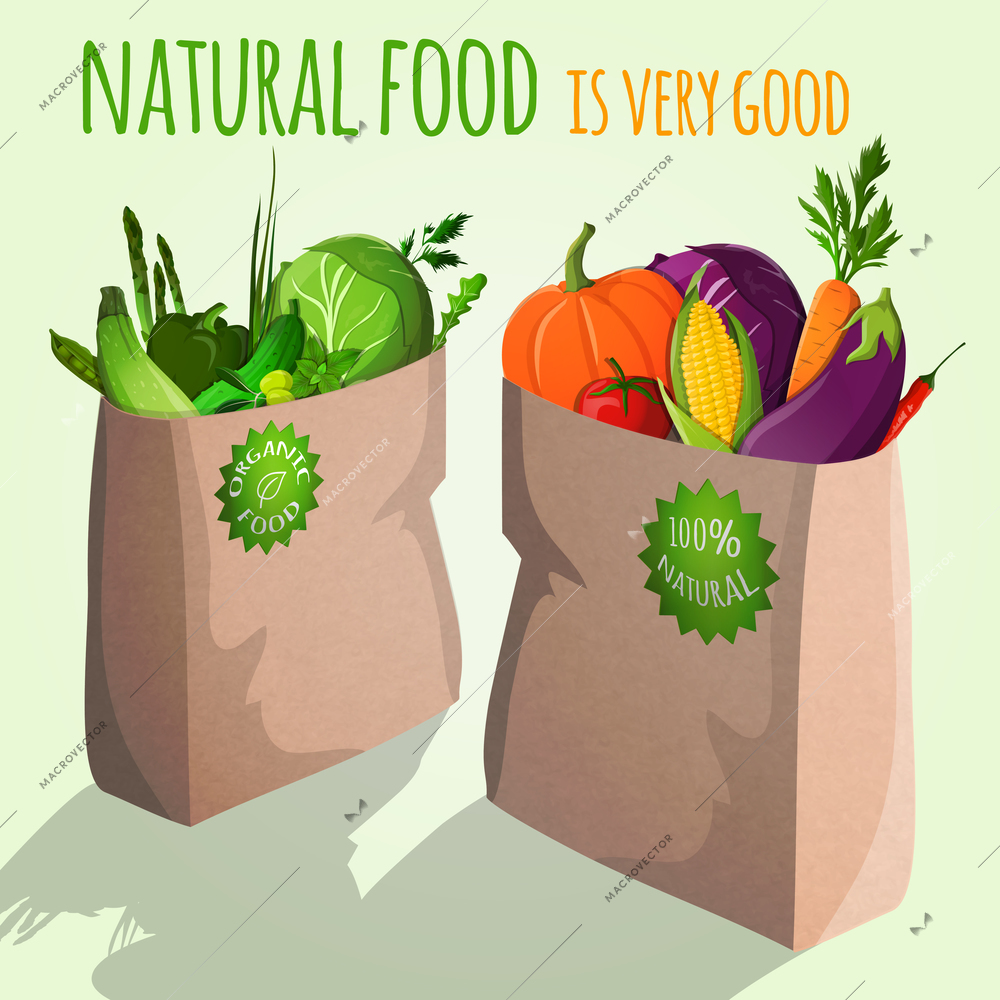 Natural  food is very good vegetarian organic vegetables in paper bag with emblem vector illustration