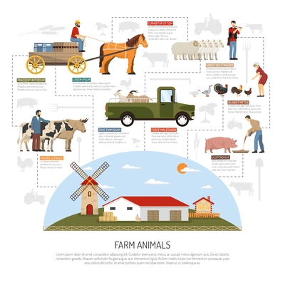 Farm animals conceptual composition with flat images of livestock farm landscape with people animals and vehicles vector illustration