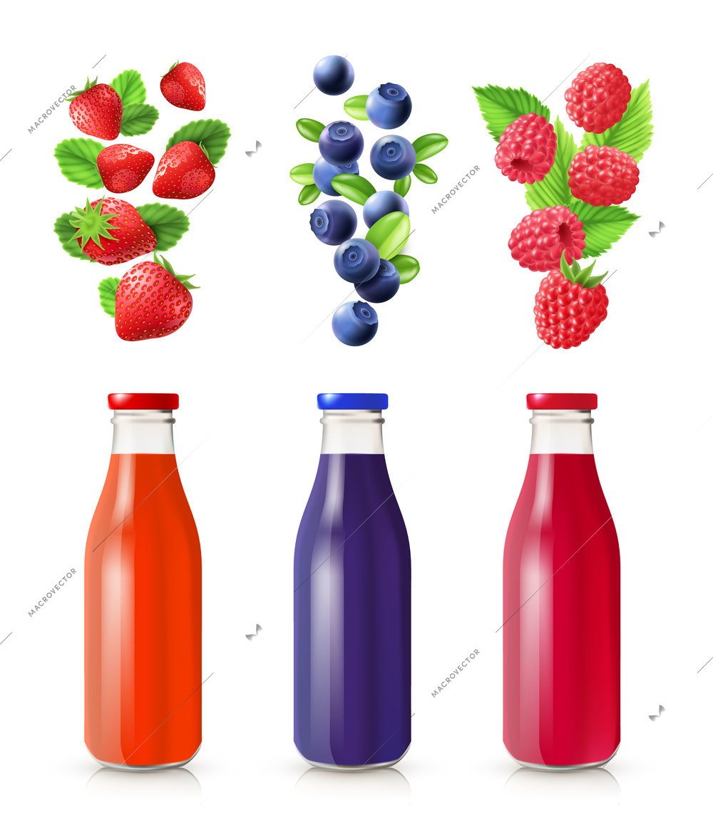 Berry juice realistic set with bottles and berries isolated vector illustration