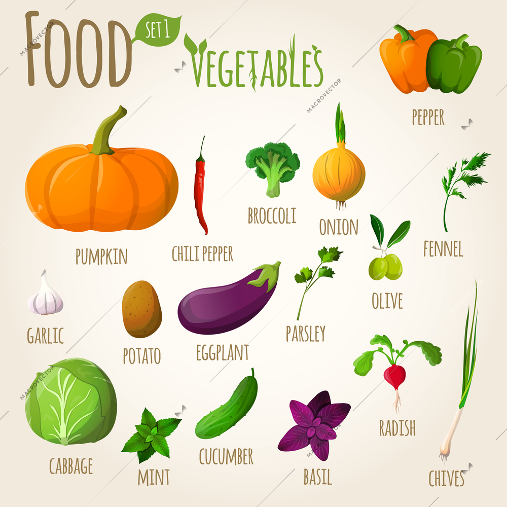 Food vegetables doodle set of pepper pumpkin broccoli onion fennel garlic vector illustration