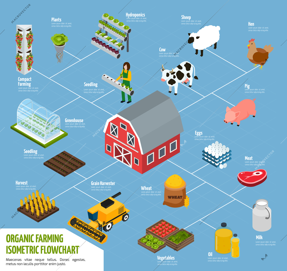 Hydroponics isometric flowchart with plants watering and farming symbols vector illustration