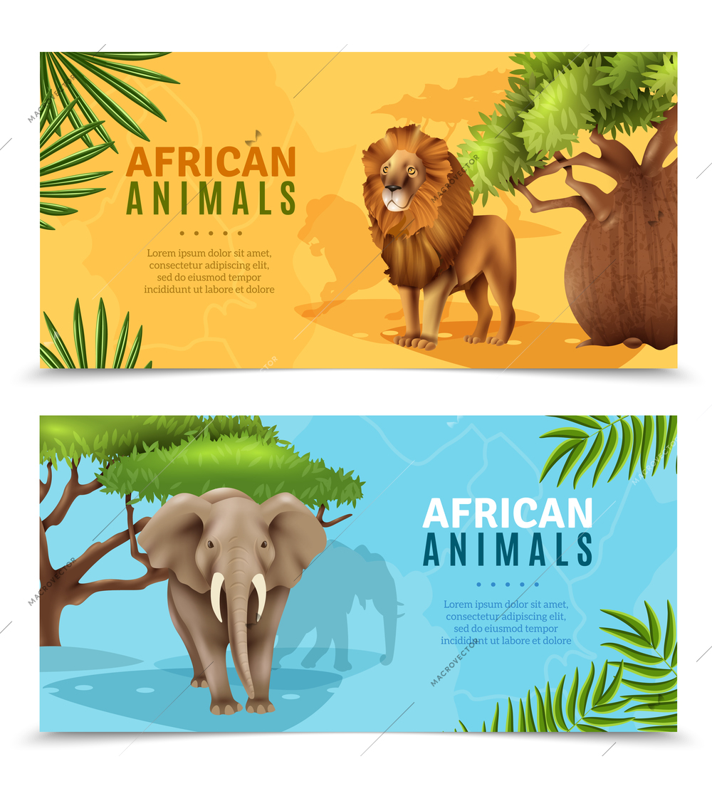 Safari animals horizontal banners with elephant and lion symbols on african trees background cartoon vector illustration