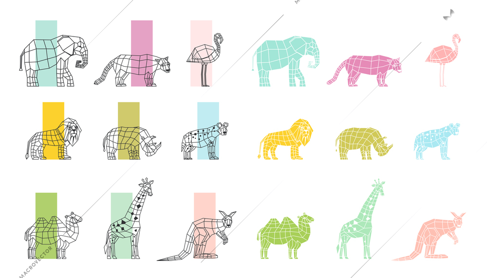 Southern wild animals polygonal linear computer graphic image color choosing process flat icons set vector illustration