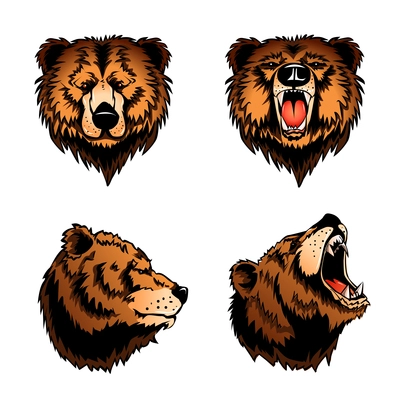 Colored set of four isolated bear heads in profile and front view on white background cartoon vector illustration