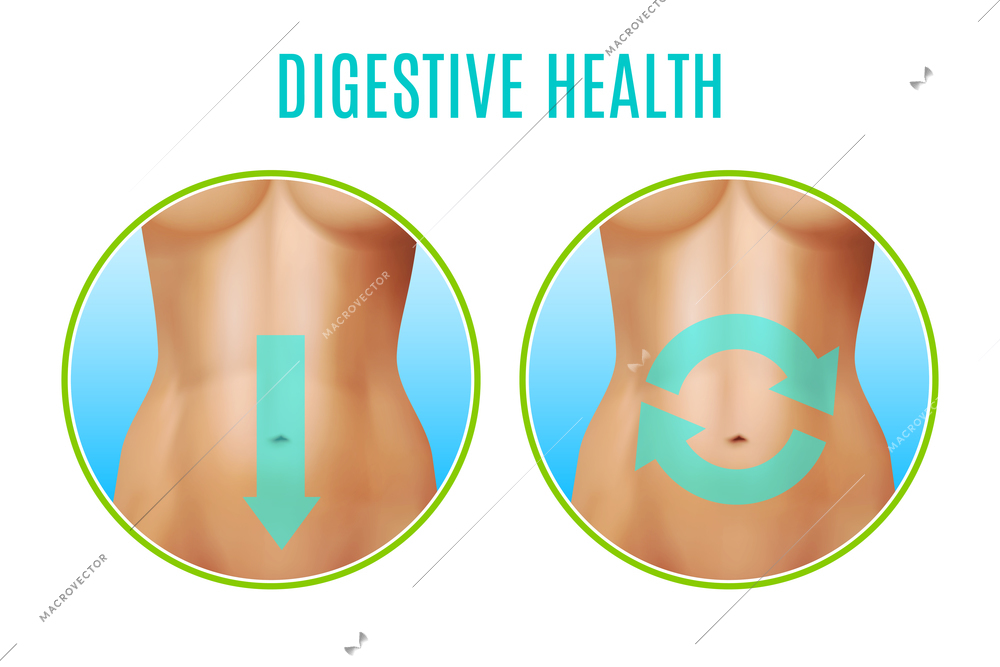 Digestive health realistic design including round icons with female belly and pointers on white background vector illustration