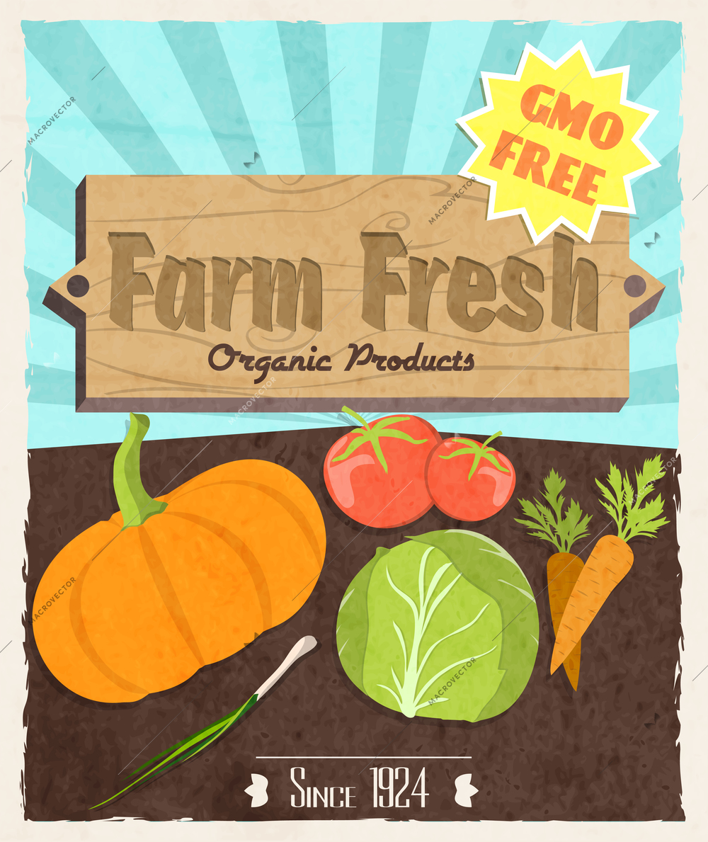 Vegetable food farm fresh retro poster gmo free organic products vector illustration