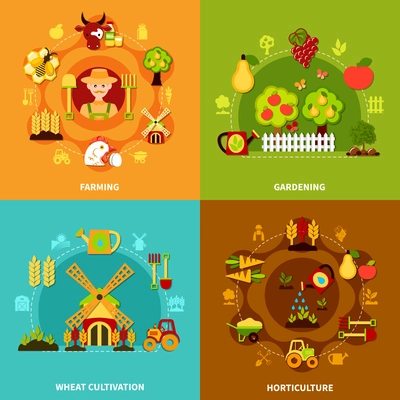 Four agriculture gardening and wheat cultivation square compositions with colorful icons of fruits plants and tools vector illustration