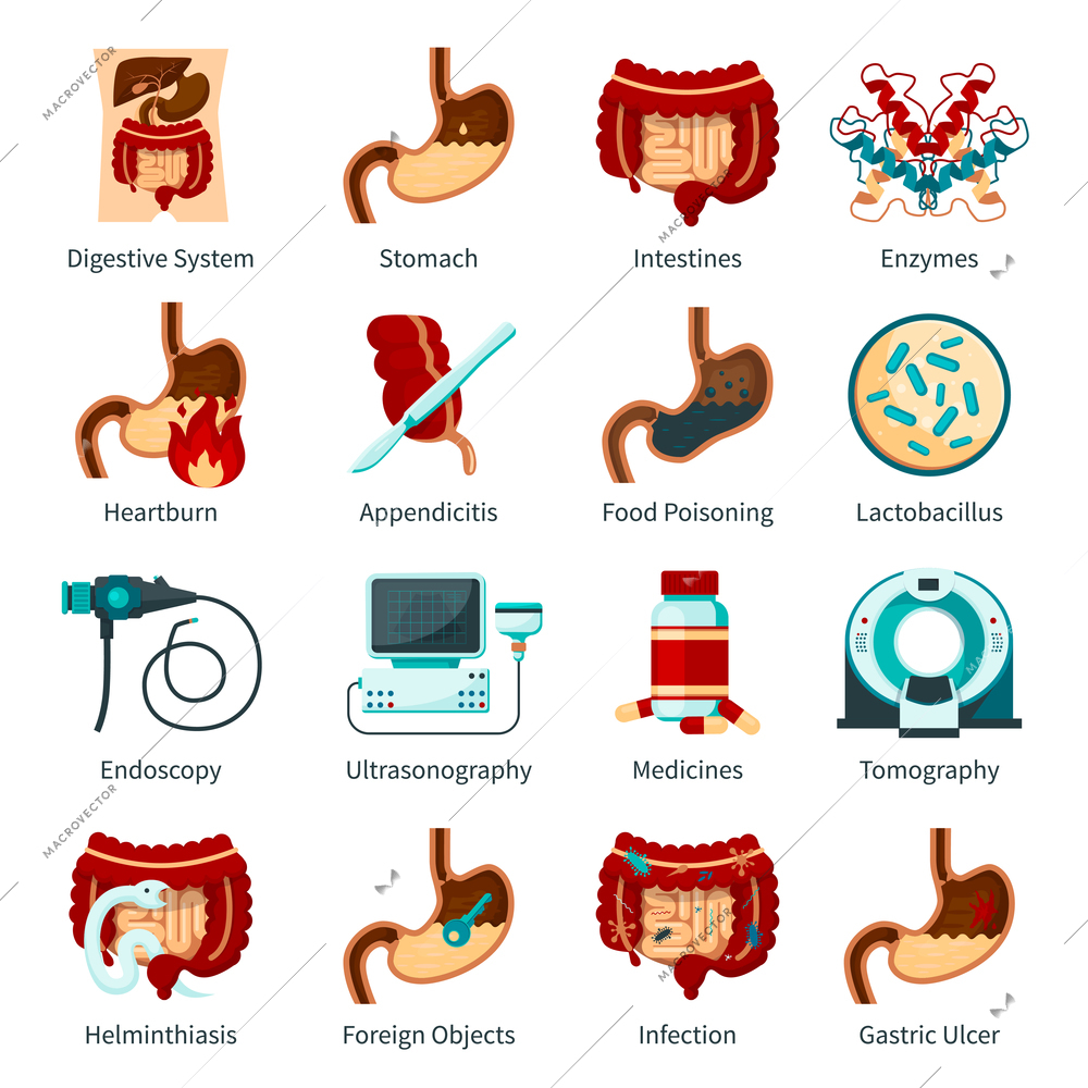 Colored and isolated digestive system flat icon set with stomach enzymes heartburn food poisoning and other descriptions vector illustration