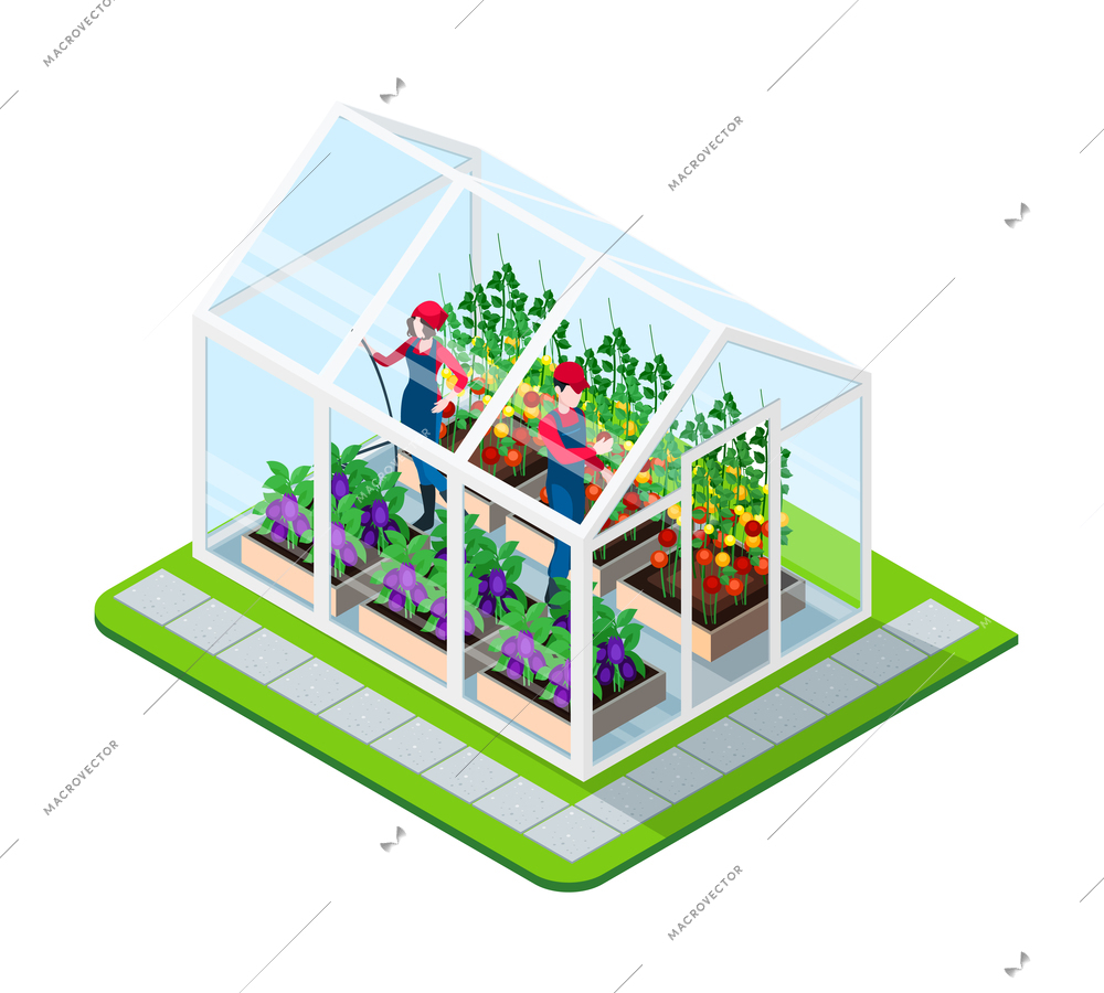 Greenhouse isometric concept with flowers and working people inside building isolated vector illustration