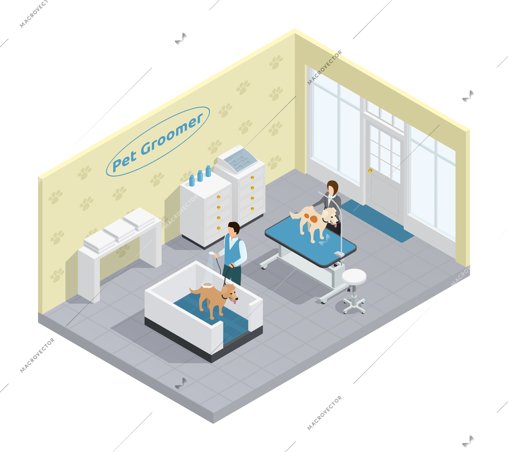 Pet groomer in pet grooming salon with dogs isometric vector illustration