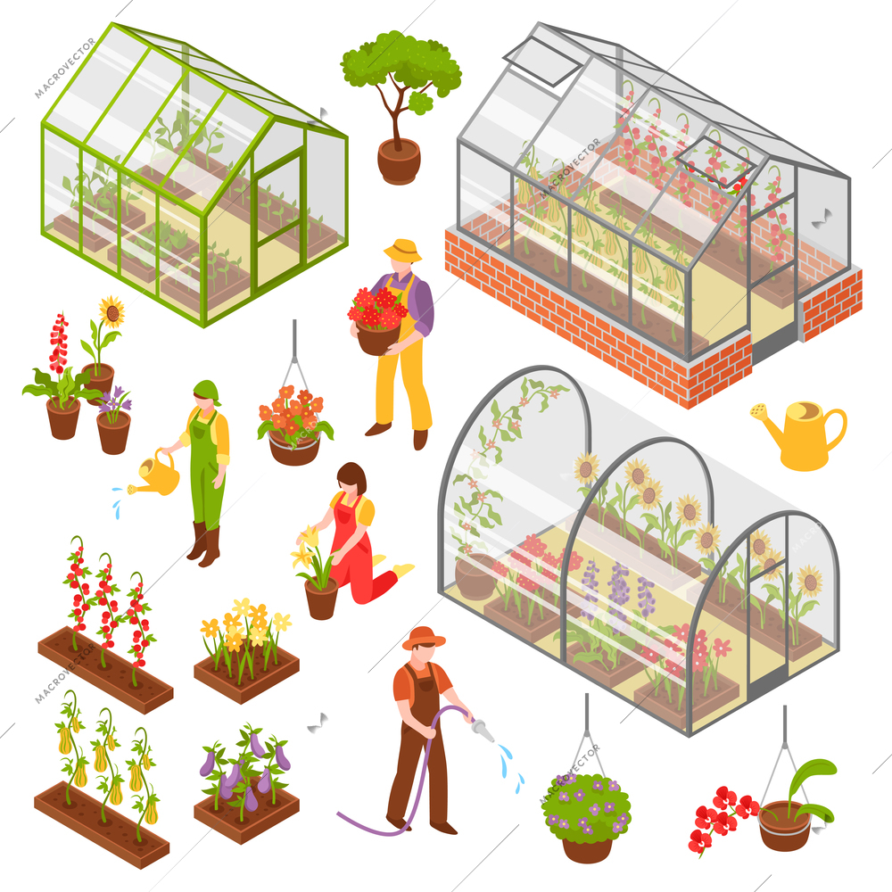 Colored and isolated isometric 3d greenhouse icon set with seedling and care of plants vector illustration