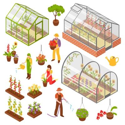 Colored and isolated isometric 3d greenhouse icon set with seedling and care of plants vector illustration