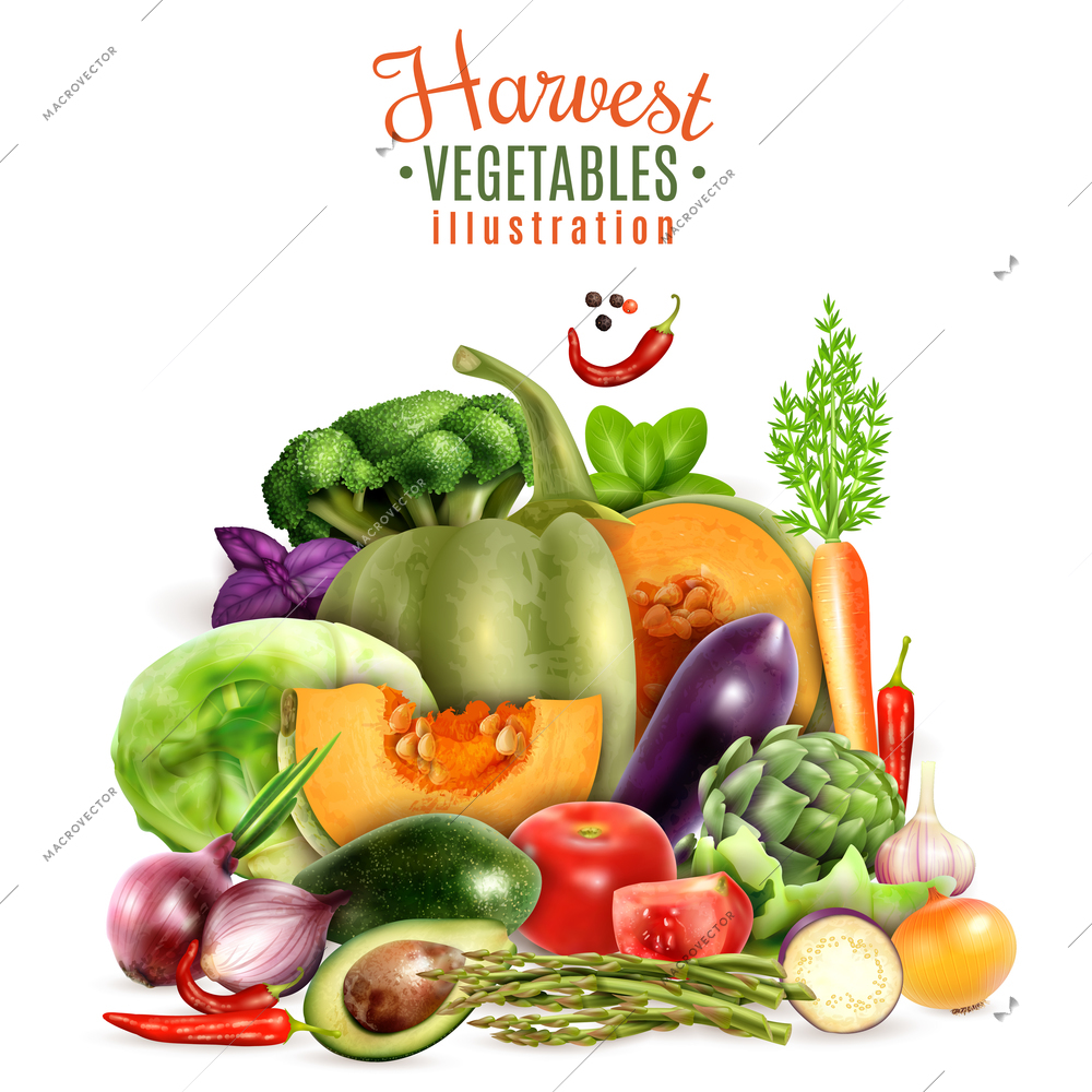 Harvest of autumn vegetables design concept with colorful icons of greengrocery courgette pumpkin tomato carrot garlic cabbage  realistic vector Illustration