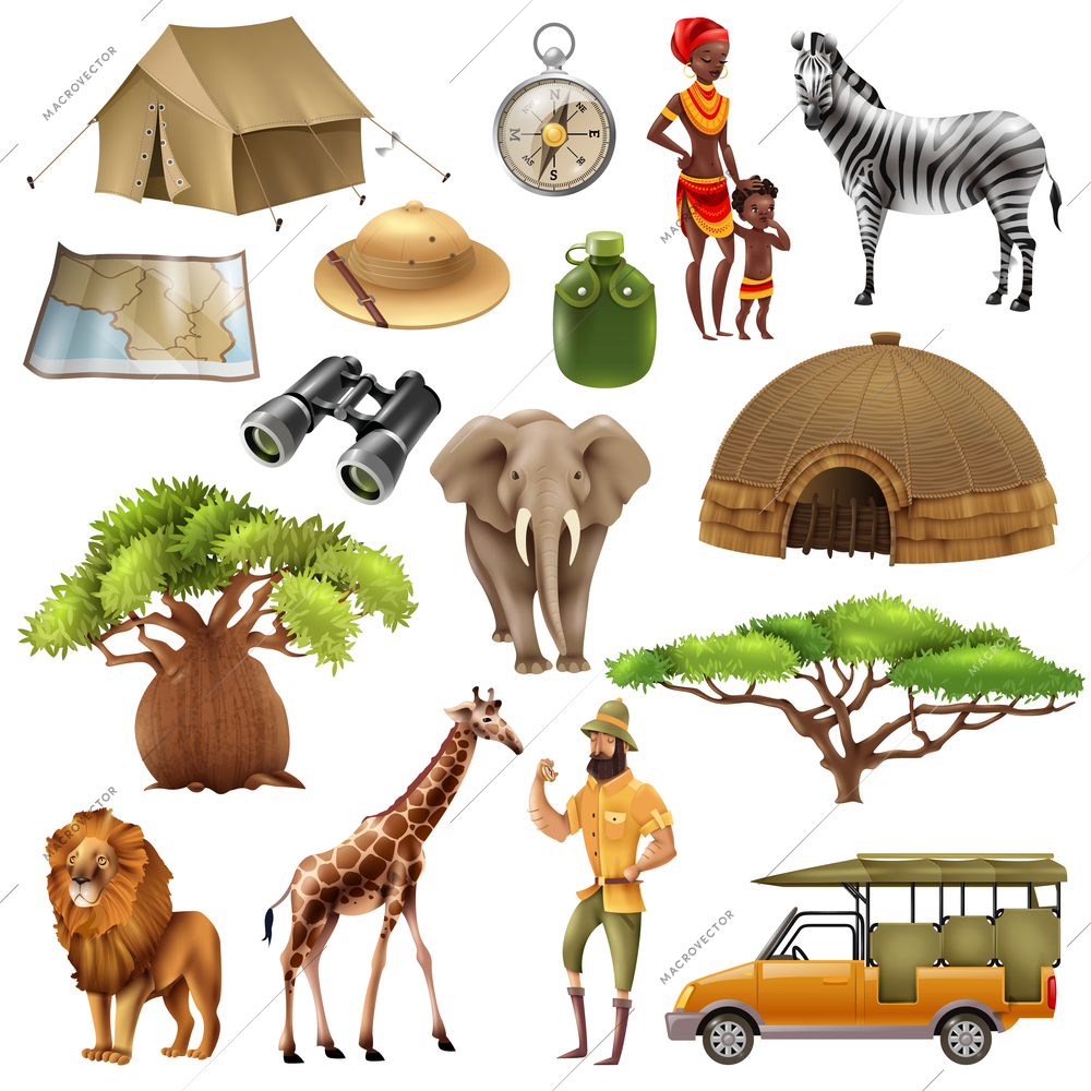 Colored and isolated safari set icon set with elements and attributes on theme vector illustration