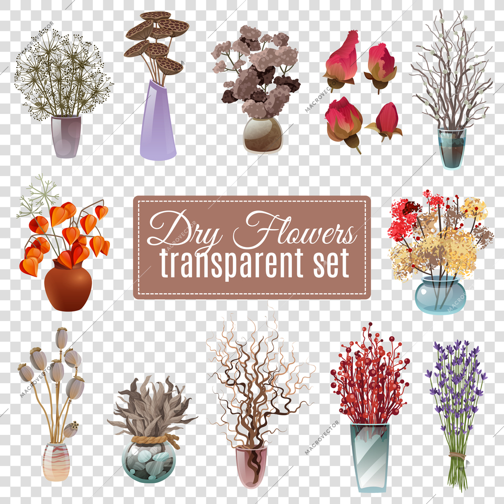 Set of dry flowers bouquets in vases of various shapes and sizes for decoration on transparent background flat vector illustration