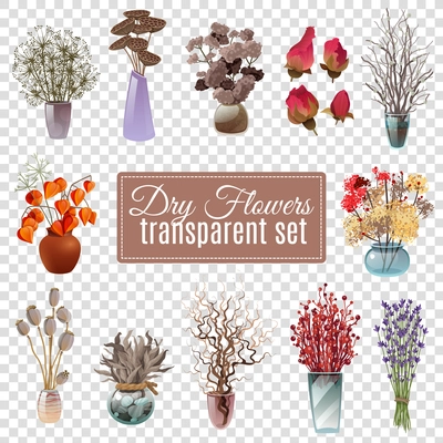 Set of dry flowers bouquets in vases of various shapes and sizes for decoration on transparent background flat vector illustration