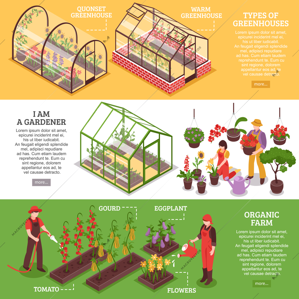 Three horizontal greenhouse banner set with I am gardener organic farm and types of greenhouses descriptions vector illustration