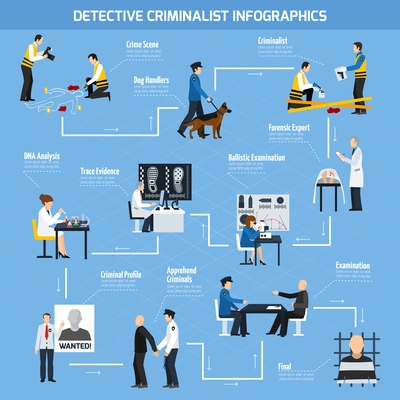 Infographics with information about work of police experts and forensic laboratory arrested criminals flat style vector illustration