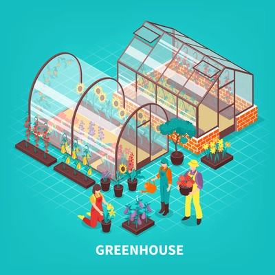 Colored greenhouse isometric composition with gardeners workers who are looking after plants vector illustration